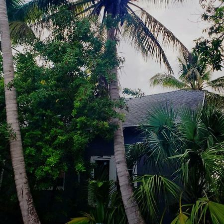 Old Cottage House Miami Exterior foto