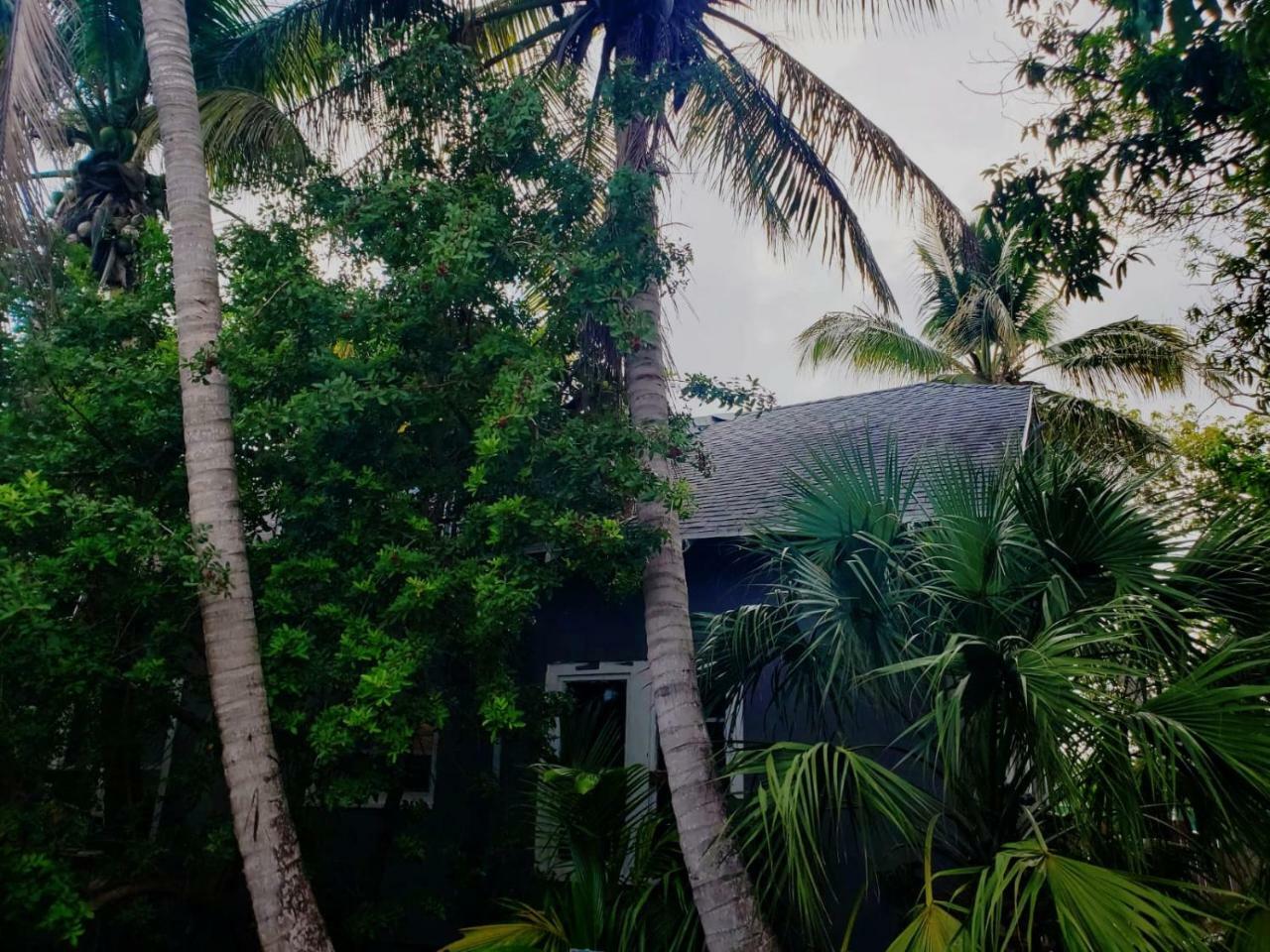 Old Cottage House Miami Exterior foto
